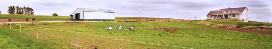 Our farm